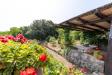 Casa indipendente in affitto con giardino a Monte Argentario in santa liberata snc - 07, Foto 7