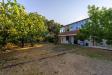 Villa in affitto con giardino a Orbetello in strada vicinale del pino giannella - 03, Foto 3