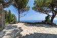 Villa in vendita con giardino a Monte Argentario in via panoramica 126 - 02, Foto 2