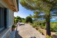 Villa in affitto con giardino a Monte Argentario in via lividonia alta snc - 10, Foto 10