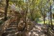 Villa in vendita con giardino a Monte Argentario in localit cala piccola snc - 09, Foto 9