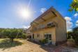 Villa in vendita con giardino a Monte Argentario in localit pozzarello snc - 10, Foto 10