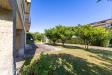 Villa in vendita con giardino a Monte Argentario in localit pozzarello snc - 05, Foto 5