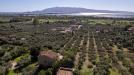 Villa in vendita con giardino a Orbetello in strada vicinale dei poggi snc - 04, Foto 4