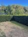 Appartamento in vendita con giardino a Pitigliano in viale san francesco snc - 08, Foto 8
