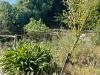 Casa indipendente in vendita con giardino a Monte Argentario in localit pispino snc - 07, Foto 7