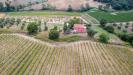 Casa indipendente in vendita con giardino a Magliano in Toscana in le lupinaie snc - 04, Foto 4