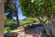 Villa in vendita con giardino a Monte Argentario in localit cala moresca snc - 03, Foto 3
