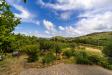 Villa in affitto con giardino a Monte Argentario in localit aquilino snc - 02, Foto 2