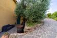 Villa in affitto con giardino a Monte Argentario in localit aquilino snc - 06, Foto 6