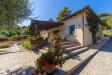 Villa in affitto con giardino a Monte Argentario in localit le cannelle snc - 02, Foto 2
