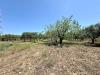 Villa in vendita a Partinico in bosco falconeria sic - 03, Foto 3
