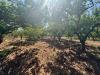 Terreno Agricolo in vendita a Partinico in contrada san giuseppe - 10, Foto 10