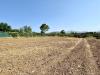 Terreno Agricolo in vendita a Partinico in contrada bellacera - 10, Foto 10