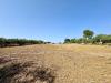 Terreno Agricolo in vendita a Partinico in contrada bellacera - 03, Foto 3