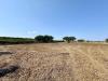 Terreno Agricolo in vendita a Partinico in contrada bellacera - 05, Foto 5
