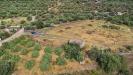 Terreno Agricolo in vendita a Adrano in via san leo - 05, DJI_0748