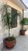 Villa in affitto con giardino a Catania in baia portobello 35 - vaccarizzo - 05, 5.jpg