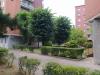 Appartamento in vendita a Cinisello Balsamo in via monte grappa 62 - 04, Foto 4