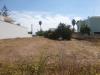 Terreno Edificabile in vendita a Montesano Salentino - 03, Foto 3