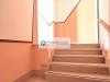 Casa indipendente in vendita da ristrutturare a Poggiardo in papa pio xii - 08, Foto 8