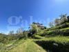 Villa in vendita con giardino a Loiano - 08, terreno coltivabile