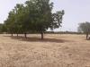 Terreno Agricolo in vendita a Viterbo - 03, Foto 3