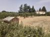 Terreno Agricolo in vendita a Viterbo - 04, Foto 4