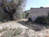 Terreno Agricolo in vendita a Viterbo - 03, Foto 3