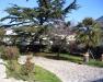 Villa in vendita con giardino a Campiglia Marittima - 04