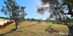 Terreno Agricolo in vendita a Gallipoli in contrada santo stefano - 04, Foto 4