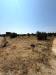 Terreno Agricolo in vendita a Sannicola in via per sannicola - 10, Foto 10