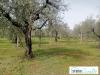 Casa indipendente in vendita a Narni - 05, Foto 5