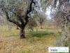 Casa indipendente in vendita a Narni - 08, Foto 8