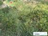 Appartamento in vendita con giardino a Narni - 02, Foto 2