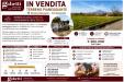 Terreno Edificabile in vendita a Somma Vesuviana - 10, Screenshot_30-6-2026_10406_web.whatsapp.com.jpeg