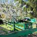 Casa indipendente in vendita con giardino a Alessandria in strada novi 11 - 04, Foto 4