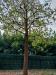 Appartamento bilocale in vendita con giardino a Alessandria in via luciano raschio 51 - 05, Foto 5
