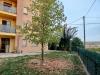 Appartamento bilocale in vendita con giardino a Alessandria in via luciano raschio 51 - 06, Foto 6
