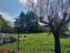 Casa indipendente in vendita con giardino a Quattordio in strada comunale della boarina 72/b - 03, Foto 3