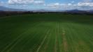Terreno Agricolo in vendita a Acquapendente in provinciale onanese - 10, Foto 10