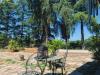 Villa in vendita con giardino a Rignano Flaminio in montelarco - 03, giardino