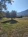 Terreno Agricolo in vendita a Castel Madama - 03, Foto 3