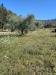Terreno Agricolo in vendita a Castel Madama - 04, Foto 4