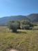 Terreno Agricolo in vendita a Castel Madama - 06, Foto 6