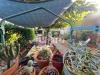 Appartamento in vendita con giardino a Signa - sant'angelo a lecore - 05
