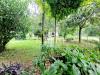 Casa indipendente in vendita con giardino a Campi Bisenzio - 04