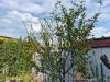 Villa in vendita con giardino a Campi Bisenzio - 04