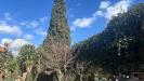Appartamento in vendita con box a Roma in parona - 10, Vista delle montagne