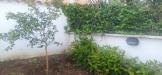 Villa in vendita con giardino a Ardea in via rieti - 06, Foto 6